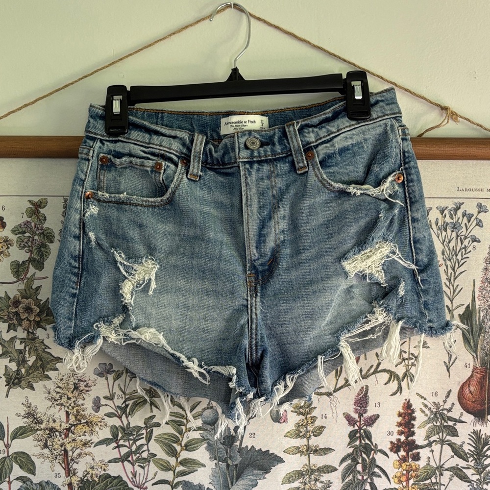 Abercrombie & Fitch Light Blue Mom Short Mid Rise 27/4